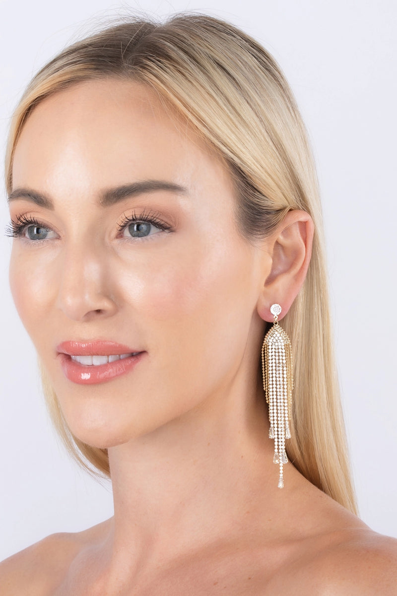 Camille Fringe Drop Earrings